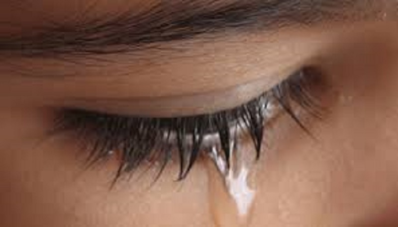 জ য় না রা য় ণ  কো লে 